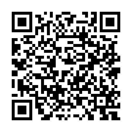 QR code for W095174