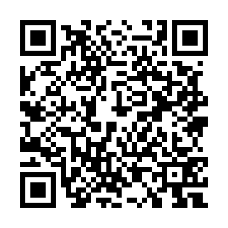QR code for W095733