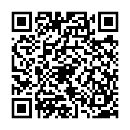 QR code for W096641