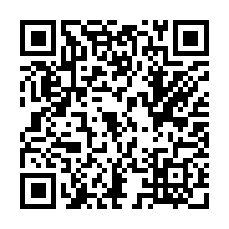 QR code for W119787