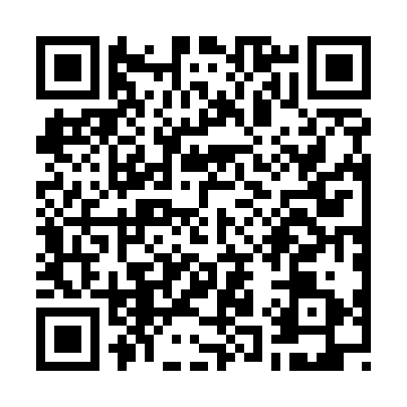 QR code for W125315
