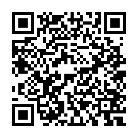 QR code for W133439