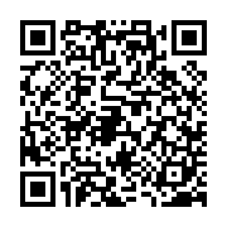 QR code for W160412
