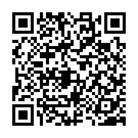 QR code for W163787
