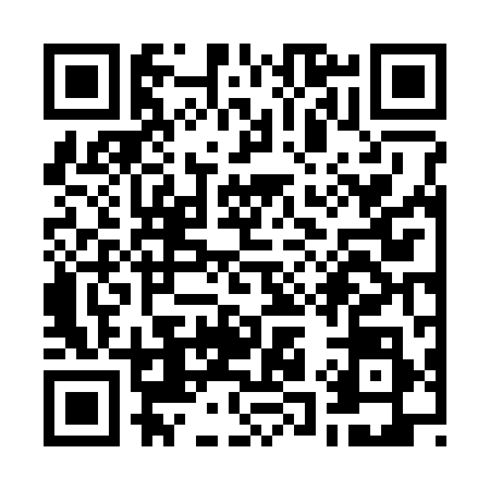QR code for W163989