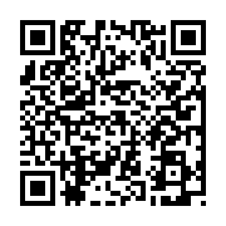 QR code for W165388