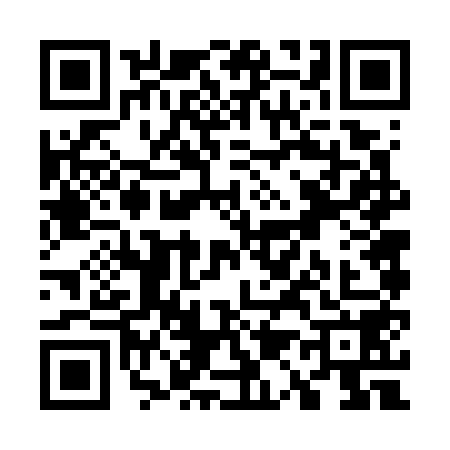 QR code for W167583