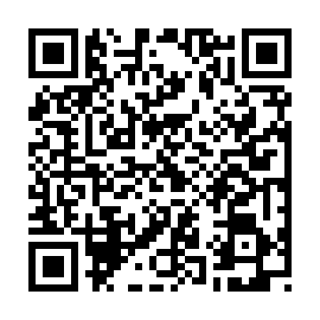 QR code for W168667