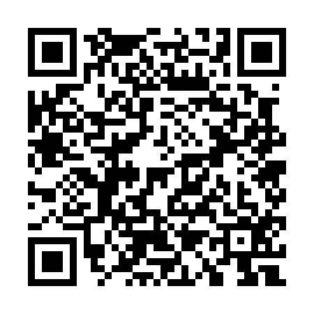 QR code for W170161