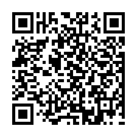 QR code for W172541