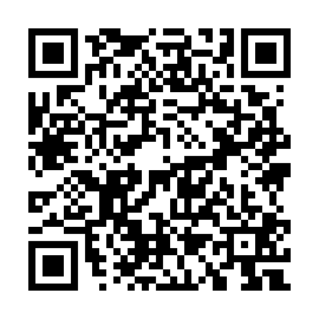 QR code for W197013