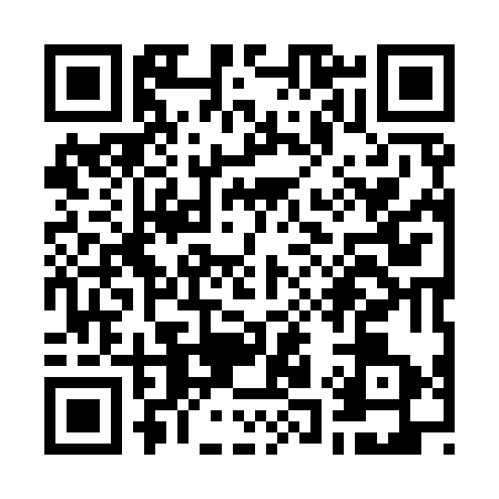 QR code for W199739
