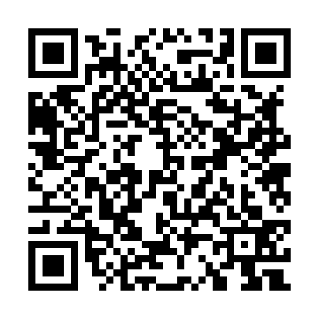 QR code for W228338