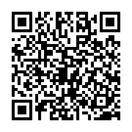 QR code for W247238