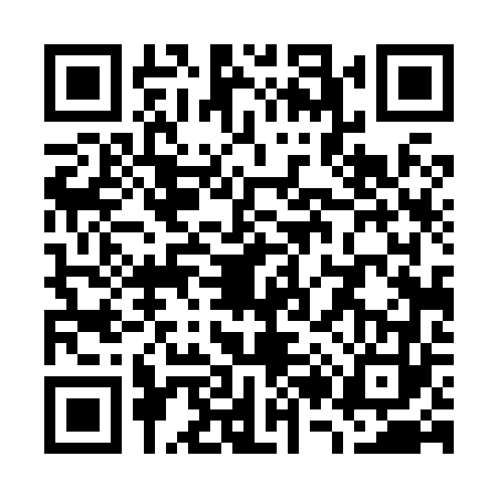 QR code for W248638