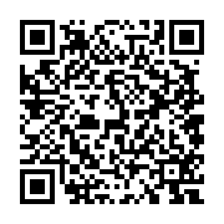 QR code for W264168
