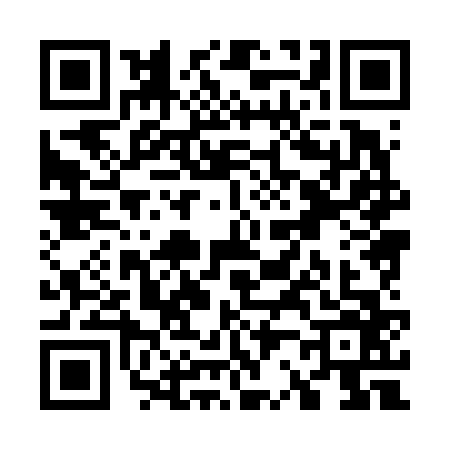 QR code for W286667