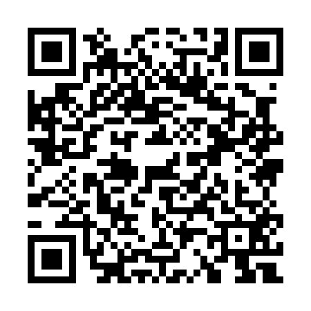QR code for W290520