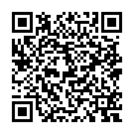 QR code for W295128