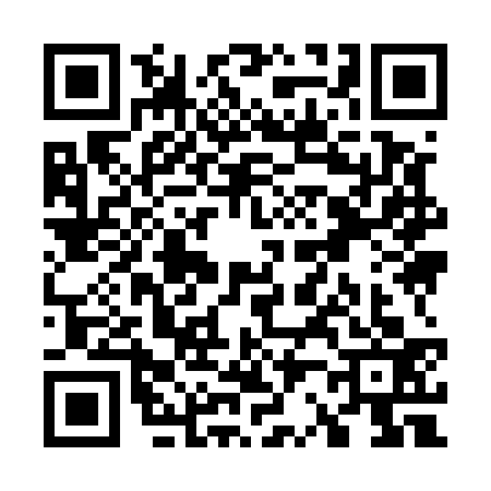 QR code for W295337