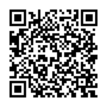 QR code for W295666