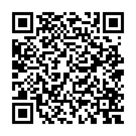 QR code for W313478
