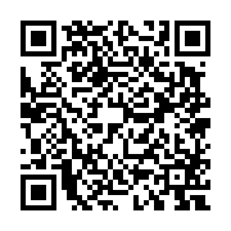QR code for W314867