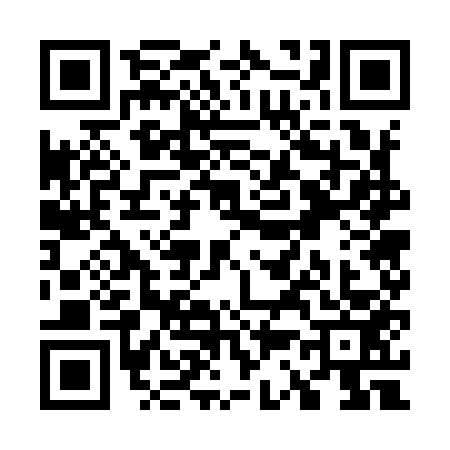 QR code for W379533