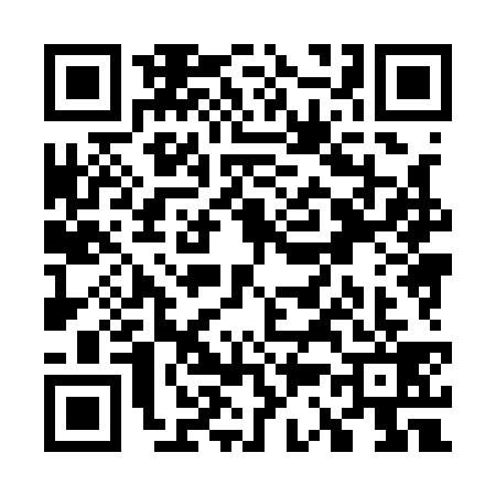 QR code for W381390