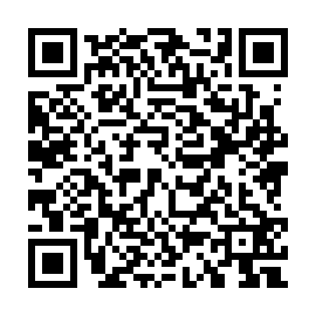 QR code for W383225