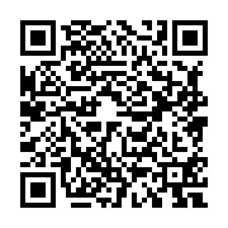 QR code for W388100