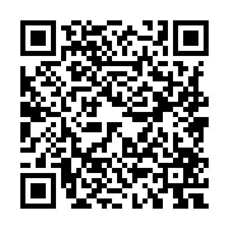 QR code for W389471