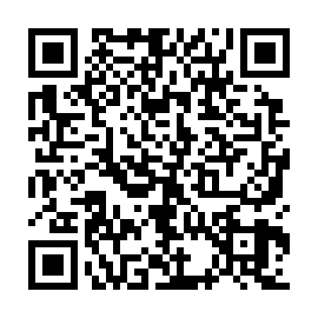 QR code for W393294