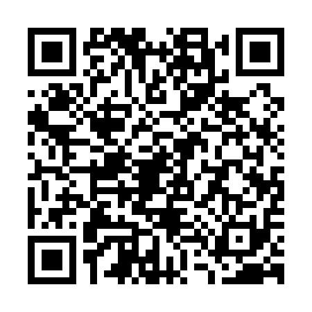 QR code for W411113