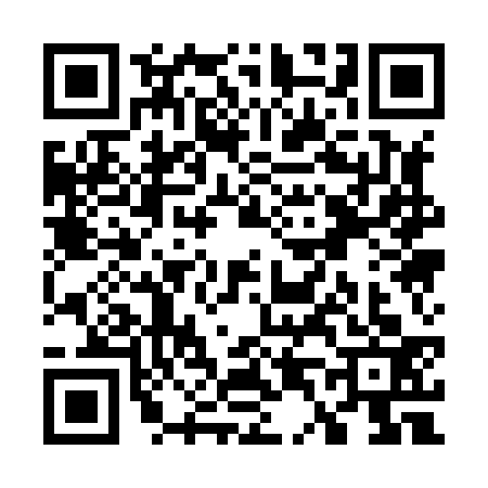 QR code for W418335