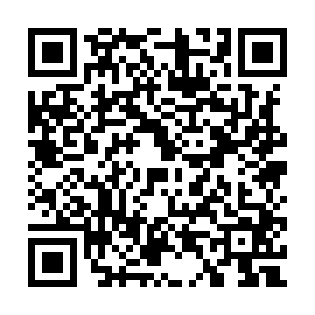 QR code for W419445