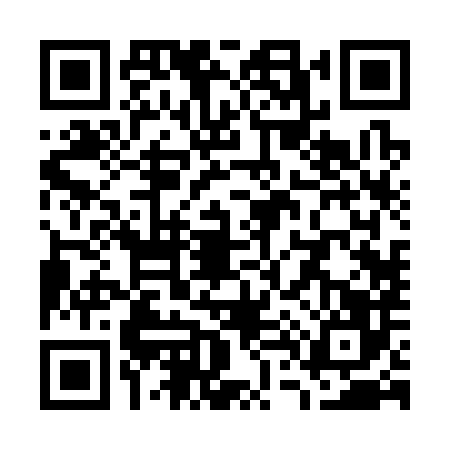 QR code for W423868