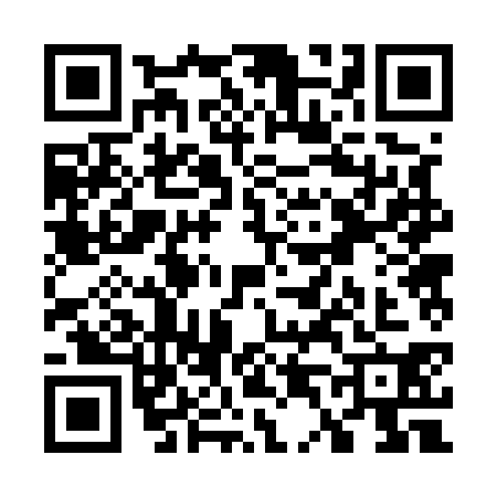 QR code for W425304