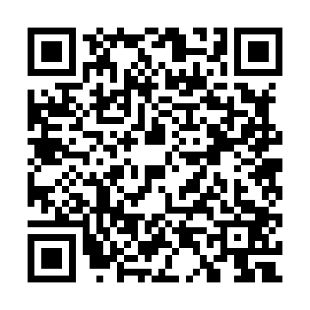 QR code for W428033