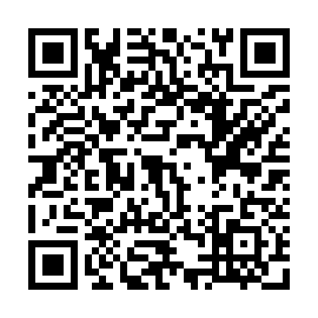 QR code for W429313