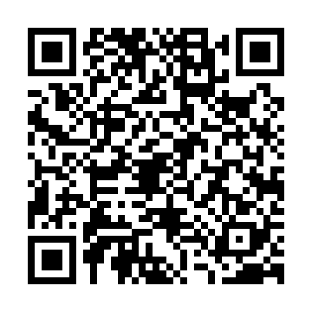 QR code for W441285
