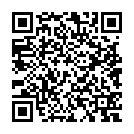 QR code for W441328