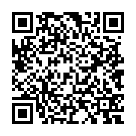 QR code for W445338