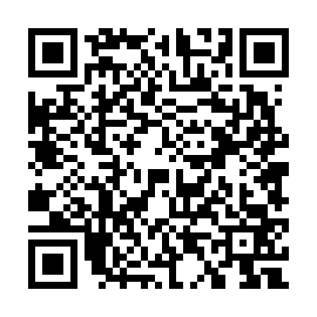 QR code for W446637