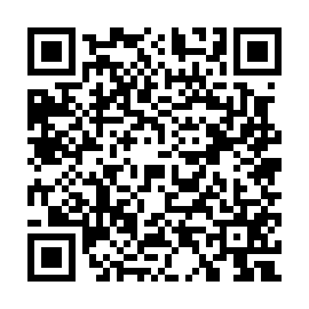 QR code for W450555