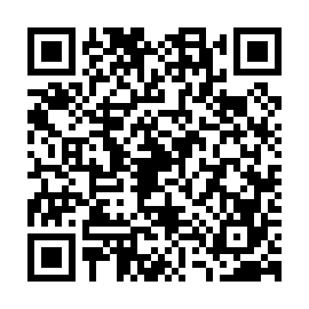 QR code for W460667
