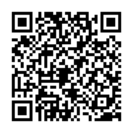 QR code for W461999