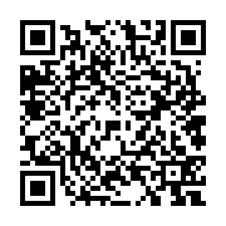 QR code for W466334