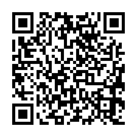QR code for W471738