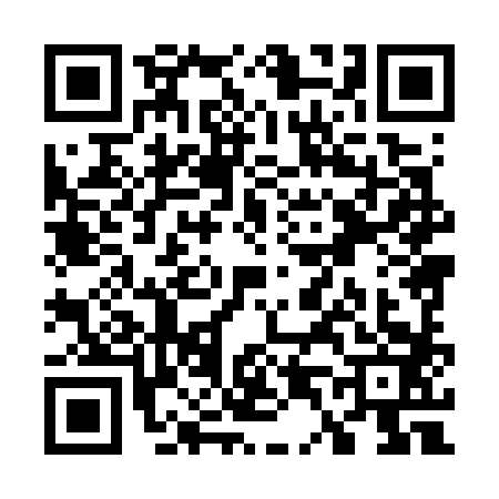 QR code for W487839